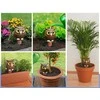 Maximex Ceramic flower watering can 1600 ml, owl