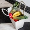 Daugiafunkcinis pirkinių krepšys, paplūdimio TASCHE XL - baltas, KOZIOL