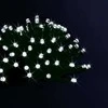 Fééric Lights and Christmas Dekoratyvinės 100 LED kalėdinių lempučių, baltos
