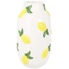 Home Styling Collection Decorative fruit vase FRUN, 16 x 29.5 cm
