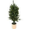 Home Styling Collection Dirbtinė eglutė auksiniame puode, 90 cm