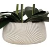 Atmosphera Dirbtinė gėlė vazone, orchidėja SANAE, 65 cm