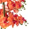 Atmosphera Dirbtinė gėlė vazone, orchidėja SANAE, 65 cm