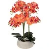 Atmosphera Dirbtinė gėlė vazone, orchidėja SANAE, 65 cm