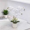 Atmosphera Dirbtinė orchidėja vazone RIVA, 60 cm