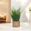 Atmosphera Dirbtinė žolė vazone iš vandens hiacinto, aukštis 70 cm