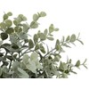 Atmosphera Dirbtinio eukalipto šakelė JAMES, 30 cm