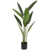 Atmosphera Dirbtinis augalas Strelitzia, 97 cm