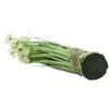 Home Styling Collection Dirbtinis augalas su žole, 60 cm