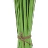 Home Styling Collection Dirbtinis augalas su žole, 60 cm