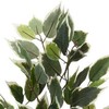 Dirbtinis augalas vazone, 95 cm