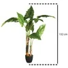 Atmosphera Dirbtinis augalas vazone BANANOWIEC, 132 cm