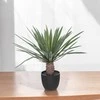 Atmosphera Dirbtinis delnas kaip gyvenantis juodoje sodinėje, aukštis 52 cm