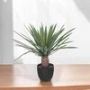 Atmosphera Dirbtinis delnas kaip gyvenantis juodoje sodinėje, aukštis 52 cm