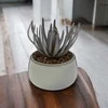 Dirbtinis augalas vazone Atmosphera, žalia, 18 cm