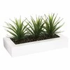 Aloe Gėlių vazonas su trimis alavijo sodinukais, papuošimas dirbtiniais augalais Atmosphera Créateur d'intérieur
