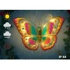 Maximex Garden wall decoration, solar LED butterfly, 54 x 40 cm