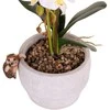 ProGarden Pakabinamo vazono dekoracija Linksmas gyvūnas, polirezinas, 9 x 4,5 x 8 cm