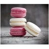 Stiklinė sienos apsauga MACARONS - 50 x 60 cm, WENKO