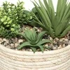 Atmosphera HACIENDA plant composition, 17 x 19 cm, natural pot