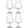 Secret De Gourmet Likerio stiklinės, 4 x 220 ml
