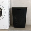 Storage Solutions Skalbinių krepšys su dangčiu ir ventiliacija, 53 l