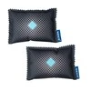Drėgmės sugėriklis automobiliui 2 x 120 g, WENKO