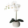 Atmosphera ORCHIDEE REAL TOUCH CIM H.53
