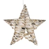 Home Styling Collection Pakabinama šviesa žvaigždės formos dekoracija, 30 cm
