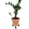 ProGarden Augalų padėklai su ratukais metalinė reguliuojama 23-30 cm