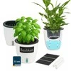 Maximex Set of three pots with irrigation system, Ø 13 cm