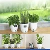 Maximex Set of three pots with irrigation system, Ø 18 cm