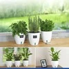 Maximex Set of three pots with irrigation system, Ø 13 cm