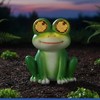 Maximex Solar garden figurine frog LED, with glowing eyes, 11.8 cm x 13.5 cm