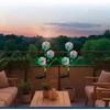 Maximex Solar garden lights, LED dandelions, 2 pieces, 75 cm