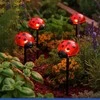 Maximex Solar garden lights, LED ladybugs, 14 cm, 4 pcs