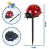 Maximex Solar garden lights, LED ladybugs, 14 cm, 4 pcs
