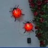 Maximex Solar garden lights, LED ladybugs, 2 pieces, 20 cm