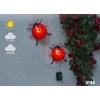 Maximex Solar garden lights, LED ladybugs, 2 pieces, 20 cm