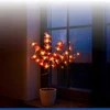 Maximex Solar garden lights, LED orchids, set of 2 pieces, 75 cm