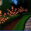 Maximex Solar garden lights, LED orchids, set of 2 pieces, 75 cm