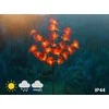 Maximex Solar garden lights, LED orchids, set of 2 pieces, 75 cm