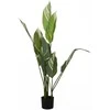 Home Styling Collection Dirbtinis augalas dideliais lapais, 118 cm