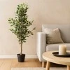 Home Styling Collection Dirbtinis fikusas juodame vazone, 115 cm
