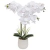 Atmosphera Dirbtinė orchidėja vazone RIVA, 60 cm