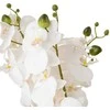 Atmosphera Dirbtinė orchidėja auksiniame vazone SANAE, aukštis 65 cm