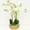 Atmosphera Dirbtinė orchidėja auksiniame vazone SANAE, aukštis 65 cm