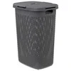 5five Simply Smart Aukštas skalbinių krepšelis iš plastiko, 60 l