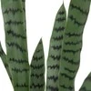 Atmosphera TOBY dirbtinis vazoninis sanseviera augalas, 90 cm