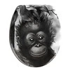 Tualeto sėdynė MONKEY, universali - Duroplast, WENKO